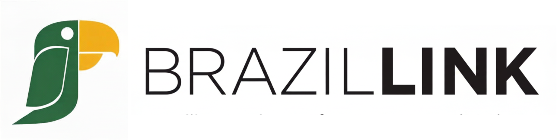 BrazilLink logo